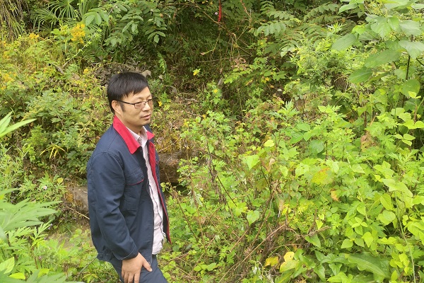 251637828729189083.jpeg 張?jiān)蓝Y_副本.jpg